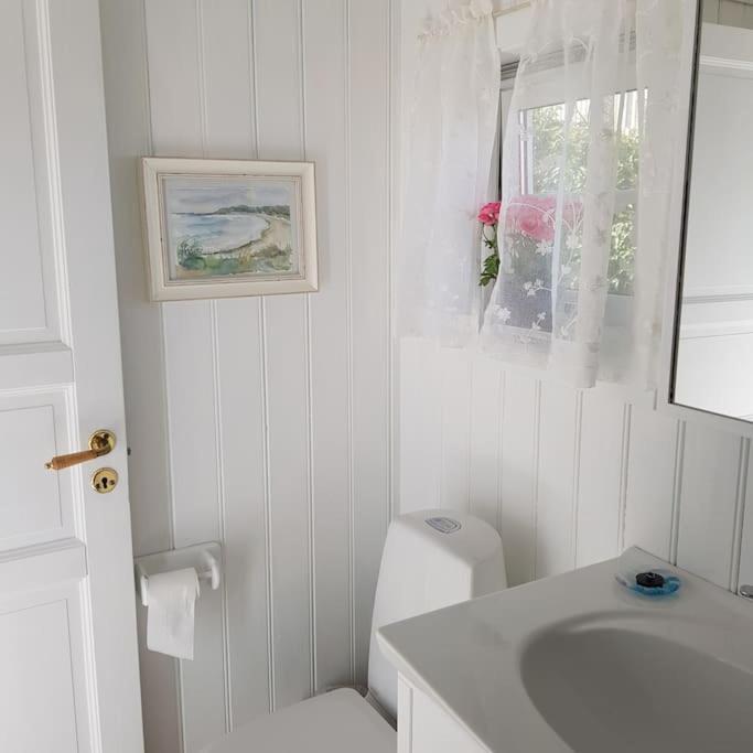 Lys Og Lettstelt Leilighet Med Utsikt Over Byen Apartment Sandefjord Ngoại thất bức ảnh