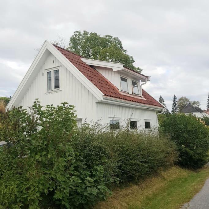 Lys Og Lettstelt Leilighet Med Utsikt Over Byen Apartment Sandefjord Ngoại thất bức ảnh